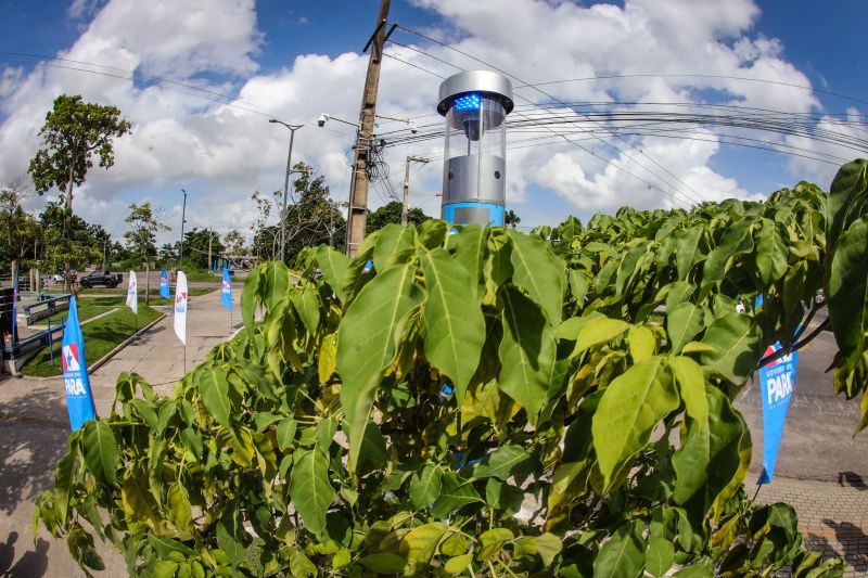  <div class='credito_fotos'>Foto: Marco Santos / Ag. Pará &nbsp;&nbsp;|&nbsp;&nbsp; <a href='/midias/2024/originais/18358_c18c44a2-0fa3-c037-4be6-2513e5e89de7.jpg' download><i class='fa-solid fa-download'></i> Download</a></div>