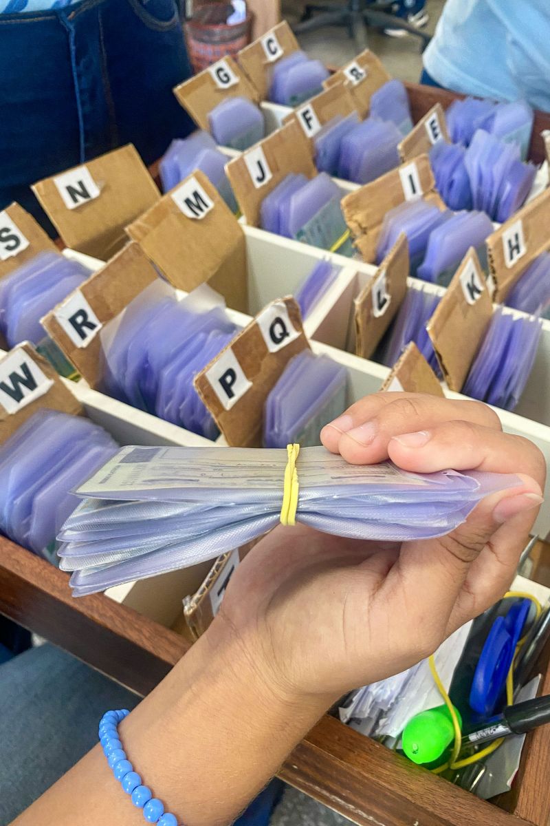  <div class='credito_fotos'>Foto: Rafael Maués / Ag. Pará &nbsp;&nbsp;|&nbsp;&nbsp; <a href='/midias/2024/originais/18371_38f81e06-531a-b5e1-bc87-184342933ae4.jpg' download><i class='fa-solid fa-download'></i> Download</a></div>