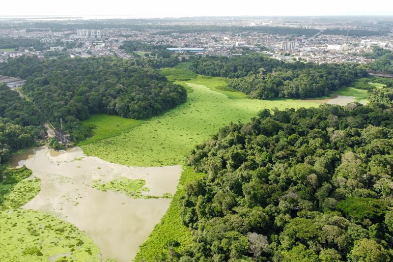 DCIM\100MEDIA\DJI_0282.JPG <div class='credito_fotos'>Foto: Augusto Miranda / Ag. Pará &nbsp;&nbsp;|&nbsp;&nbsp; <a href='/midias/2024/originais/18418_01a7a183-06fb-bd1b-1d3e-1816c56137ec.jpg' download><i class='fa-solid fa-download'></i> Download</a></div>