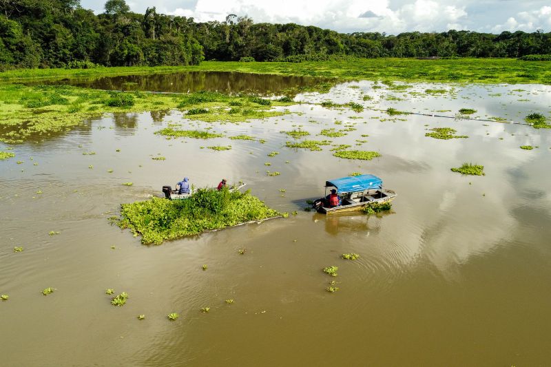 DCIM\100MEDIA\DJI_0292.JPG <div class='credito_fotos'>Foto: Augusto Miranda / Ag. Pará &nbsp;&nbsp;|&nbsp;&nbsp; <a href='/midias/2024/originais/18418_d3fdd903-e389-2341-c903-186b1661624f.jpg' download><i class='fa-solid fa-download'></i> Download</a></div>