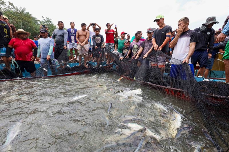  <div class='credito_fotos'>Foto: Alex Ribeiro / Ag. Pará &nbsp;&nbsp;|&nbsp;&nbsp; <a href='/midias/2024/originais/18428_6e0614a6-6655-8a62-6c44-a48ec90950d6.jpg' download><i class='fa-solid fa-download'></i> Download</a></div>