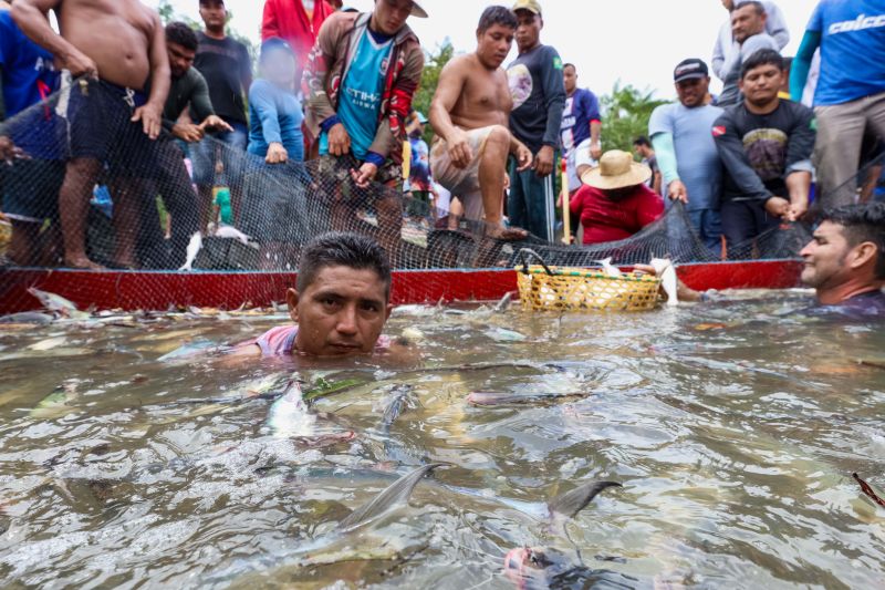  <div class='credito_fotos'>Foto: Alex Ribeiro / Ag. Pará &nbsp;&nbsp;|&nbsp;&nbsp; <a href='/midias/2024/originais/18428_f9a0d568-57f5-2ea5-0044-8aae6e0ab47e.jpg' download><i class='fa-solid fa-download'></i> Download</a></div>