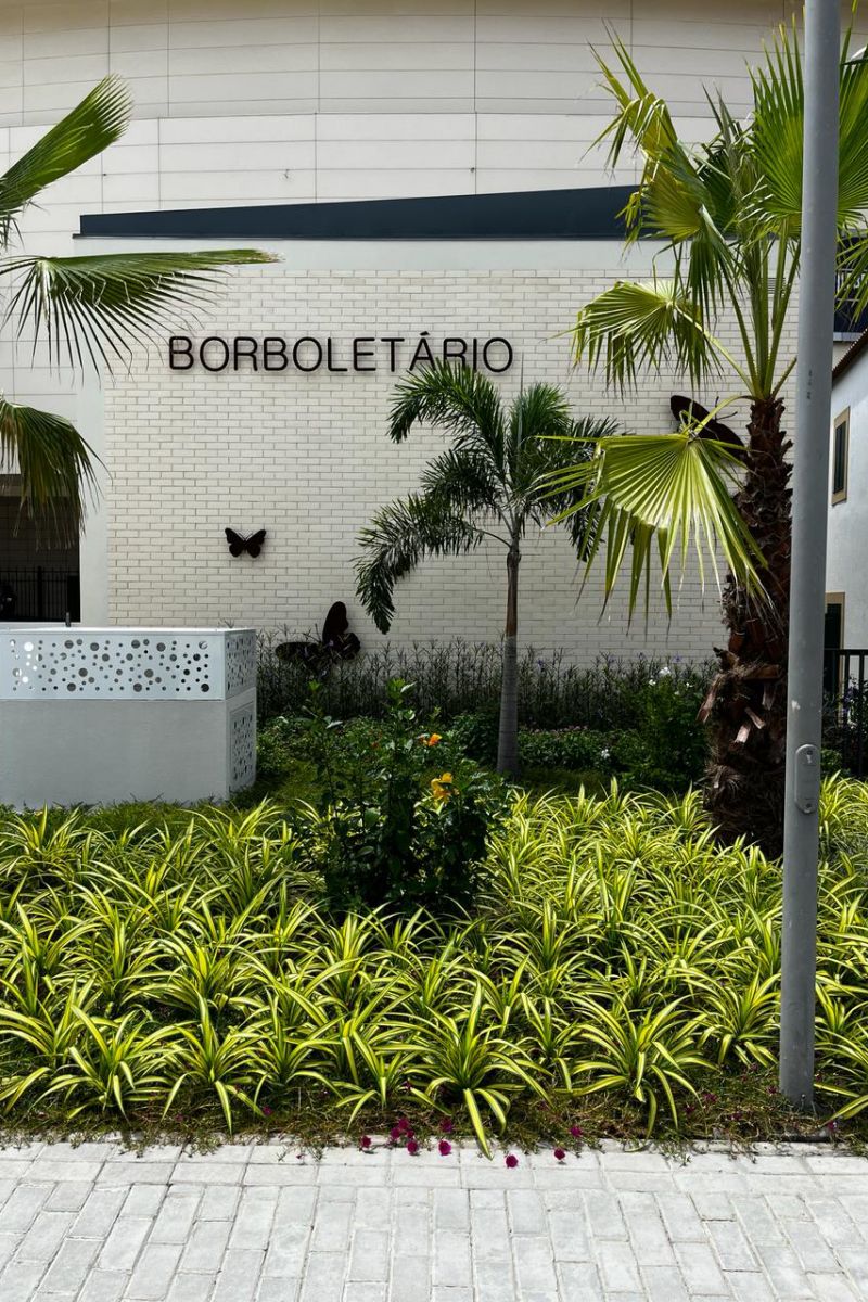  <div class='credito_fotos'>Foto: Divulgação &nbsp;&nbsp;|&nbsp;&nbsp; <a href='/midias/2024/originais/18453_f26f5672-30a4-c137-a688-c412c955ea05.jpg' download><i class='fa-solid fa-download'></i> Download</a></div>