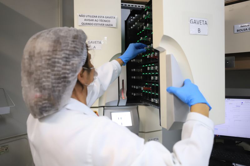  <div class='credito_fotos'>Foto: Bruno Cruz / Ag. Pará &nbsp;&nbsp;|&nbsp;&nbsp; <a href='/midias/2024/originais/18456_03d8661c-987d-9bea-93a7-e5e38b927380.jpg' download><i class='fa-solid fa-download'></i> Download</a></div>