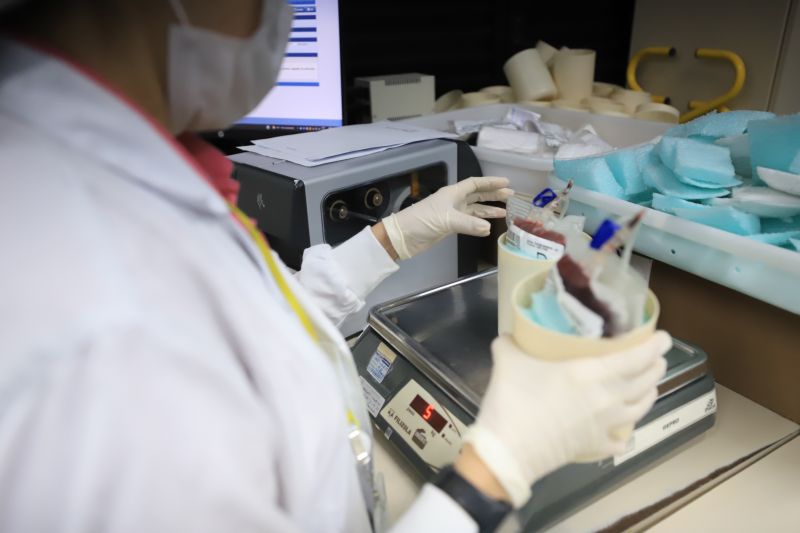  <div class='credito_fotos'>Foto: Bruno Cruz / Ag. Pará &nbsp;&nbsp;|&nbsp;&nbsp; <a href='/midias/2024/originais/18456_0c1d84c3-cd89-0f59-7e03-a6c2fe7bf028.jpg' download><i class='fa-solid fa-download'></i> Download</a></div>