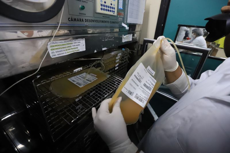  <div class='credito_fotos'>Foto: Bruno Cruz / Ag. Pará &nbsp;&nbsp;|&nbsp;&nbsp; <a href='/midias/2024/originais/18456_119b249c-3265-baac-03a9-351e36c670c2.jpg' download><i class='fa-solid fa-download'></i> Download</a></div>