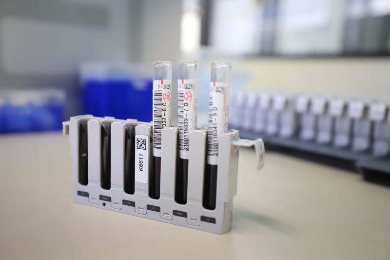  <div class='credito_fotos'>Foto: Bruno Cruz / Ag. Pará &nbsp;&nbsp;|&nbsp;&nbsp; <a href='/midias/2024/originais/18456_12c4f447-8ca9-b011-18a6-83a85779e69a.jpg' download><i class='fa-solid fa-download'></i> Download</a></div>