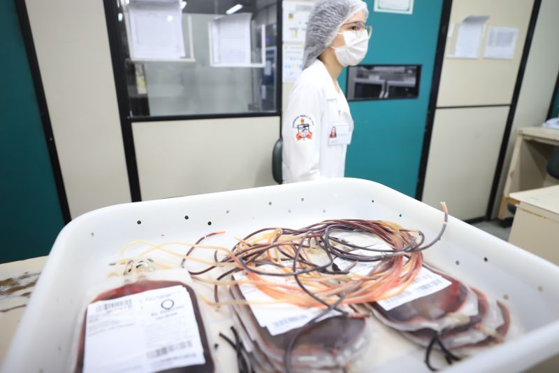  <div class='credito_fotos'>Foto: Bruno Cruz / Ag. Pará &nbsp;&nbsp;|&nbsp;&nbsp; <a href='/midias/2024/originais/18456_1392d2e0-1d36-9d9d-6408-16070756e053.jpg' download><i class='fa-solid fa-download'></i> Download</a></div>