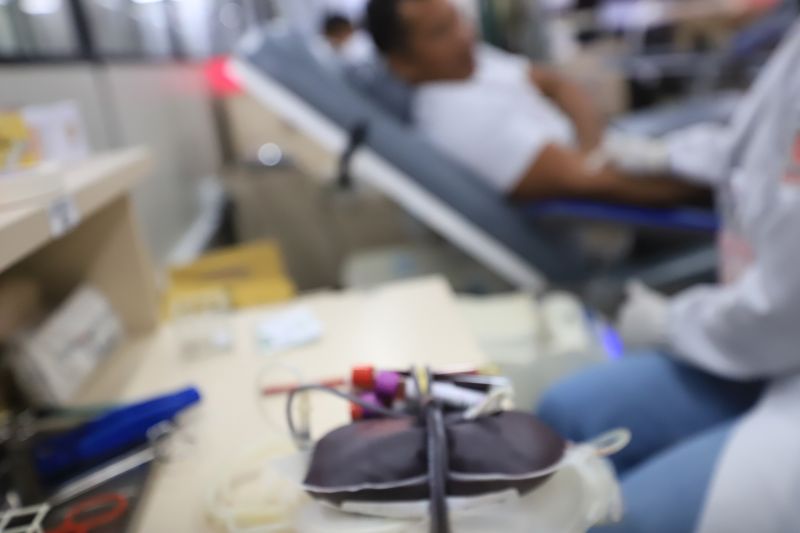  <div class='credito_fotos'>Foto: Bruno Cruz / Ag. Pará &nbsp;&nbsp;|&nbsp;&nbsp; <a href='/midias/2024/originais/18456_17983ed4-4a5f-1dd9-b2a5-8a1c0a418ca8.jpg' download><i class='fa-solid fa-download'></i> Download</a></div>