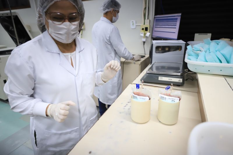  <div class='credito_fotos'>Foto: Bruno Cruz / Ag. Pará &nbsp;&nbsp;|&nbsp;&nbsp; <a href='/midias/2024/originais/18456_1ee925d9-5972-dc37-d1fa-0305b9dcc5cc.jpg' download><i class='fa-solid fa-download'></i> Download</a></div>