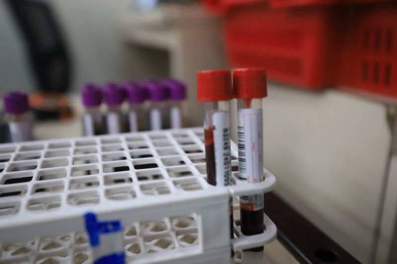  <div class='credito_fotos'>Foto: Bruno Cruz / Ag. Pará &nbsp;&nbsp;|&nbsp;&nbsp; <a href='/midias/2024/originais/18456_1fd37fec-a715-0a19-379f-08da89ee8020.jpg' download><i class='fa-solid fa-download'></i> Download</a></div>