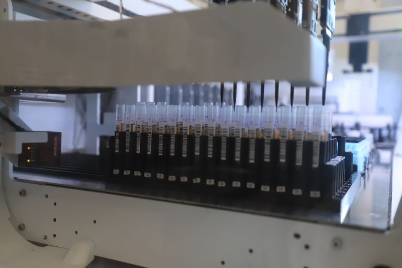  <div class='credito_fotos'>Foto: Bruno Cruz / Ag. Pará &nbsp;&nbsp;|&nbsp;&nbsp; <a href='/midias/2024/originais/18456_253ba953-f74a-df99-1c8a-06250af50d59.jpg' download><i class='fa-solid fa-download'></i> Download</a></div>