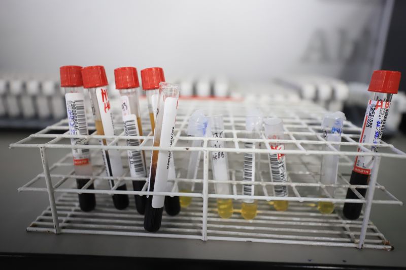  <div class='credito_fotos'>Foto: Bruno Cruz / Ag. Pará &nbsp;&nbsp;|&nbsp;&nbsp; <a href='/midias/2024/originais/18456_27d4c83f-4010-fd2d-e00a-1210093fdd95.jpg' download><i class='fa-solid fa-download'></i> Download</a></div>