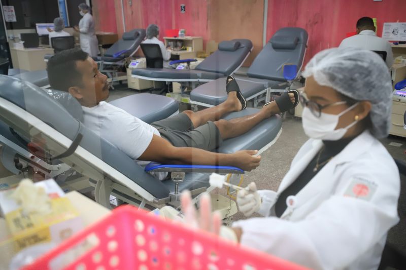  <div class='credito_fotos'>Foto: Bruno Cruz / Ag. Pará &nbsp;&nbsp;|&nbsp;&nbsp; <a href='/midias/2024/originais/18456_286f749e-3755-972e-966a-33ebfcc00ee3.jpg' download><i class='fa-solid fa-download'></i> Download</a></div>