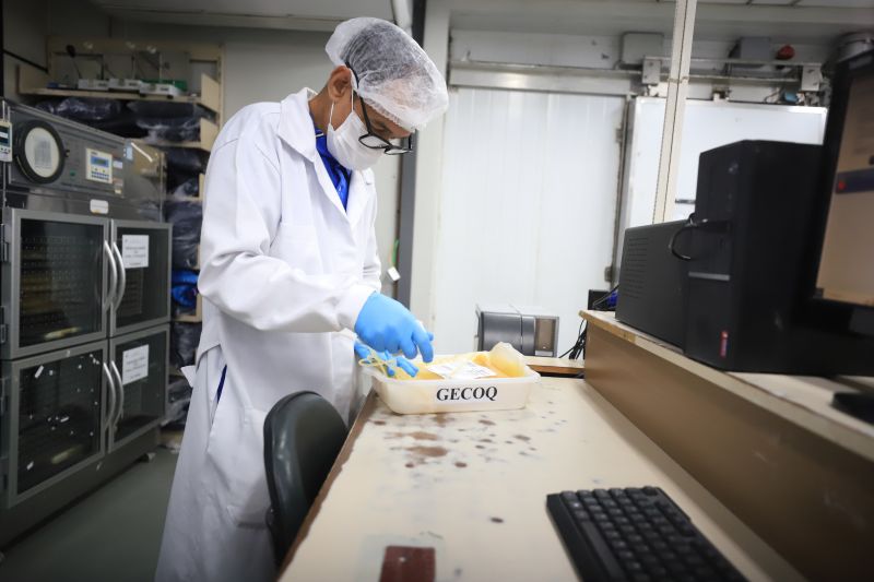  <div class='credito_fotos'>Foto: Bruno Cruz / Ag. Pará &nbsp;&nbsp;|&nbsp;&nbsp; <a href='/midias/2024/originais/18456_2990496c-0338-6e98-502d-142d77cbb549.jpg' download><i class='fa-solid fa-download'></i> Download</a></div>