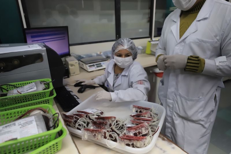  <div class='credito_fotos'>Foto: Bruno Cruz / Ag. Pará &nbsp;&nbsp;|&nbsp;&nbsp; <a href='/midias/2024/originais/18456_2a6017e9-2a25-2fcb-acdd-2870a14d493d.jpg' download><i class='fa-solid fa-download'></i> Download</a></div>