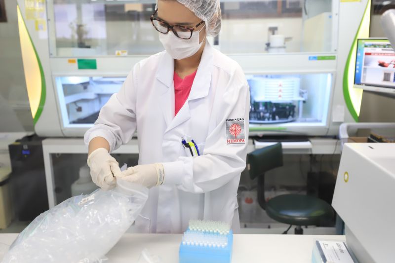  <div class='credito_fotos'>Foto: Bruno Cruz / Ag. Pará &nbsp;&nbsp;|&nbsp;&nbsp; <a href='/midias/2024/originais/18456_305eb07c-4b73-ce6c-dc02-3dd07573cdea.jpg' download><i class='fa-solid fa-download'></i> Download</a></div>