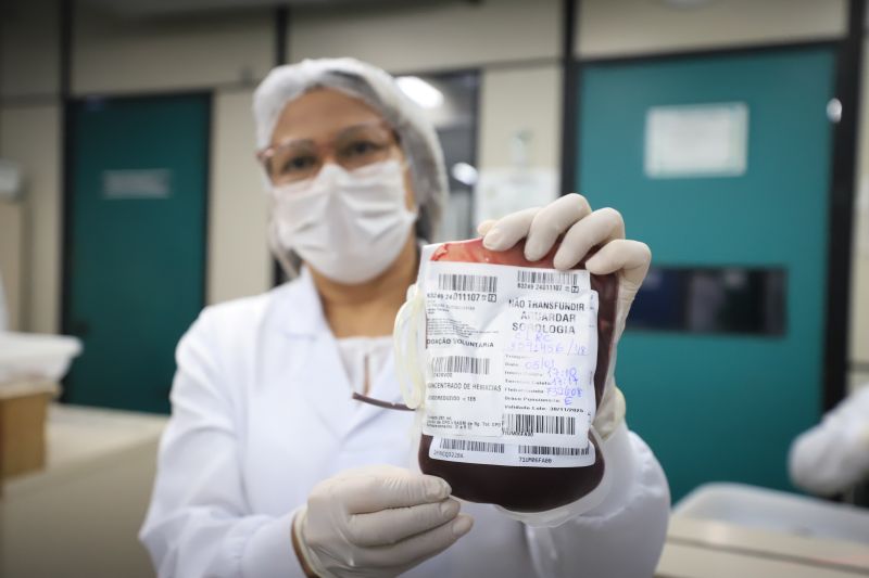  <div class='credito_fotos'>Foto: Bruno Cruz / Ag. Pará &nbsp;&nbsp;|&nbsp;&nbsp; <a href='/midias/2024/originais/18456_31a13dbe-c8ec-fc33-4dff-2263614e373e.jpg' download><i class='fa-solid fa-download'></i> Download</a></div>