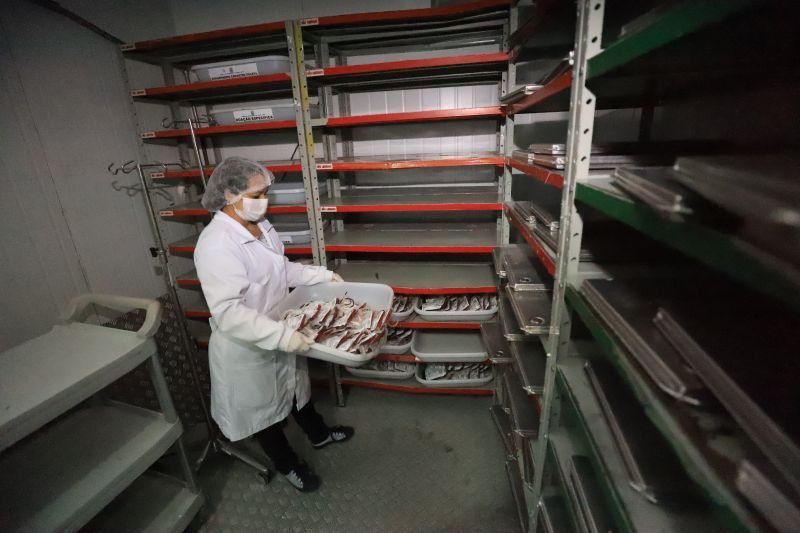  <div class='credito_fotos'>Foto: Bruno Cruz / Ag. Pará &nbsp;&nbsp;|&nbsp;&nbsp; <a href='/midias/2024/originais/18456_34f4cf57-6128-d19f-5a07-0759b0982c31.jpg' download><i class='fa-solid fa-download'></i> Download</a></div>