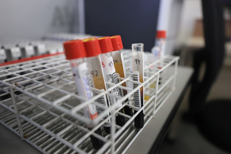  <div class='credito_fotos'>Foto: Bruno Cruz / Ag. Pará &nbsp;&nbsp;|&nbsp;&nbsp; <a href='/midias/2024/originais/18456_3693fd52-b5d3-8d64-bc84-169e12fdf549.jpg' download><i class='fa-solid fa-download'></i> Download</a></div>