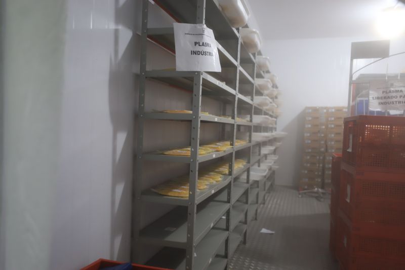  <div class='credito_fotos'>Foto: Bruno Cruz / Ag. Pará &nbsp;&nbsp;|&nbsp;&nbsp; <a href='/midias/2024/originais/18456_376f6bdc-fa02-1999-62a3-3a2ccf0802df.jpg' download><i class='fa-solid fa-download'></i> Download</a></div>