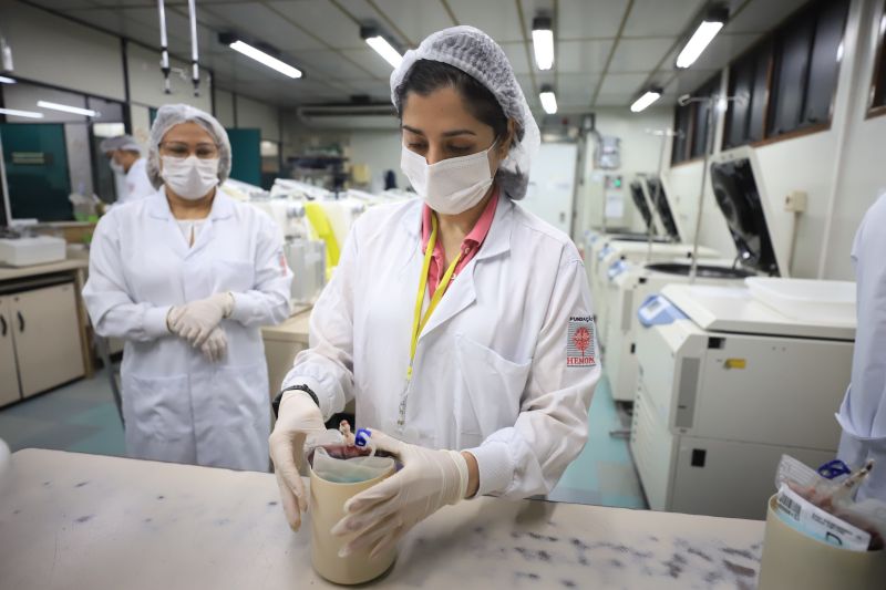  <div class='credito_fotos'>Foto: Bruno Cruz / Ag. Pará &nbsp;&nbsp;|&nbsp;&nbsp; <a href='/midias/2024/originais/18456_37d2d322-10fd-b276-d6f8-ab97021d9451.jpg' download><i class='fa-solid fa-download'></i> Download</a></div>