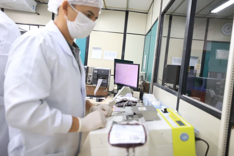  <div class='credito_fotos'>Foto: Bruno Cruz / Ag. Pará &nbsp;&nbsp;|&nbsp;&nbsp; <a href='/midias/2024/originais/18456_3b106fdf-f141-46b7-431b-5964632ec814.jpg' download><i class='fa-solid fa-download'></i> Download</a></div>