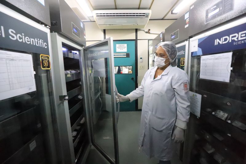  <div class='credito_fotos'>Foto: Bruno Cruz / Ag. Pará &nbsp;&nbsp;|&nbsp;&nbsp; <a href='/midias/2024/originais/18456_3dc8b101-3018-96b8-7167-96d443fd0973.jpg' download><i class='fa-solid fa-download'></i> Download</a></div>