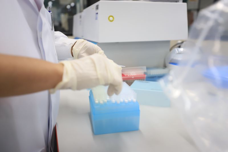  <div class='credito_fotos'>Foto: Bruno Cruz / Ag. Pará &nbsp;&nbsp;|&nbsp;&nbsp; <a href='/midias/2024/originais/18456_42afb83f-c8ad-dbaa-5209-e0560c7cf0c3.jpg' download><i class='fa-solid fa-download'></i> Download</a></div>