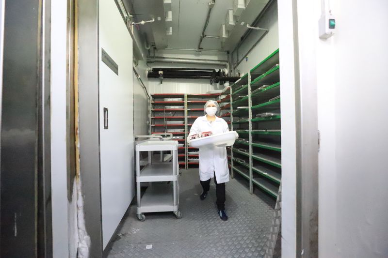  <div class='credito_fotos'>Foto: Bruno Cruz / Ag. Pará &nbsp;&nbsp;|&nbsp;&nbsp; <a href='/midias/2024/originais/18456_42fc5979-80d9-1d65-def0-6571a9fda768.jpg' download><i class='fa-solid fa-download'></i> Download</a></div>