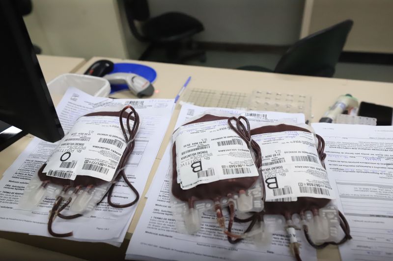  <div class='credito_fotos'>Foto: Bruno Cruz / Ag. Pará &nbsp;&nbsp;|&nbsp;&nbsp; <a href='/midias/2024/originais/18456_47af67d9-9900-d01a-5320-23fbadcd93e1.jpg' download><i class='fa-solid fa-download'></i> Download</a></div>