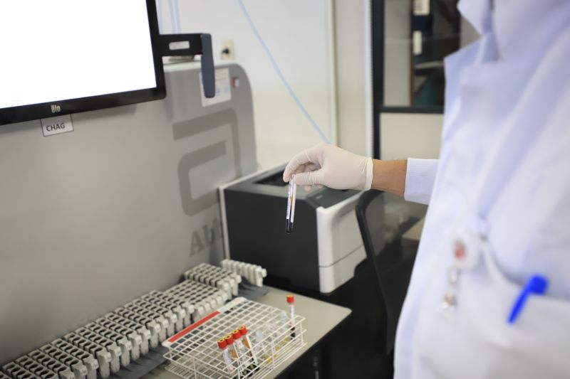  <div class='credito_fotos'>Foto: Bruno Cruz / Ag. Pará &nbsp;&nbsp;|&nbsp;&nbsp; <a href='/midias/2024/originais/18456_47dc561e-d865-5fa8-8d0a-f9e8f010f887.jpg' download><i class='fa-solid fa-download'></i> Download</a></div>