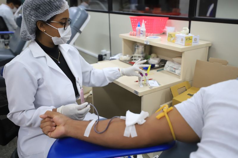  <div class='credito_fotos'>Foto: Bruno Cruz / Ag. Pará &nbsp;&nbsp;|&nbsp;&nbsp; <a href='/midias/2024/originais/18456_49b36967-408c-732f-05aa-7c314fe1851f.jpg' download><i class='fa-solid fa-download'></i> Download</a></div>