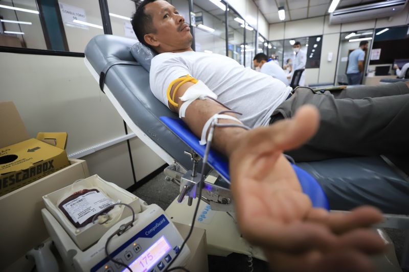  <div class='credito_fotos'>Foto: Bruno Cruz / Ag. Pará &nbsp;&nbsp;|&nbsp;&nbsp; <a href='/midias/2024/originais/18456_4a9b9ad5-ecc0-c613-1979-66bab597648b.jpg' download><i class='fa-solid fa-download'></i> Download</a></div>