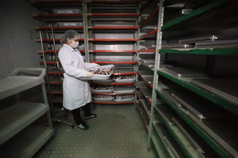  <div class='credito_fotos'>Foto: Bruno Cruz / Ag. Pará &nbsp;&nbsp;|&nbsp;&nbsp; <a href='/midias/2024/originais/18456_4d9cdccf-b44b-ac96-3aaf-65e2ac57eea0.jpg' download><i class='fa-solid fa-download'></i> Download</a></div>