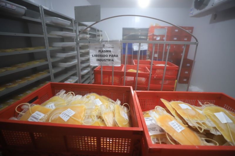  <div class='credito_fotos'>Foto: Bruno Cruz / Ag. Pará &nbsp;&nbsp;|&nbsp;&nbsp; <a href='/midias/2024/originais/18456_572baff9-43ca-dd10-d588-5e454cc53ee7.jpg' download><i class='fa-solid fa-download'></i> Download</a></div>