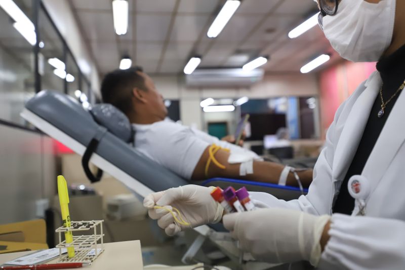  <div class='credito_fotos'>Foto: Bruno Cruz / Ag. Pará &nbsp;&nbsp;|&nbsp;&nbsp; <a href='/midias/2024/originais/18456_5a26b64d-7610-ae2b-2061-ec7fe9bb31ff.jpg' download><i class='fa-solid fa-download'></i> Download</a></div>