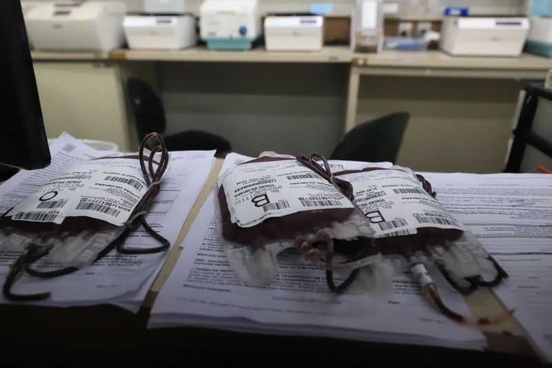  <div class='credito_fotos'>Foto: Bruno Cruz / Ag. Pará &nbsp;&nbsp;|&nbsp;&nbsp; <a href='/midias/2024/originais/18456_5a9867d1-cfdc-200f-df7f-85b0c16e543a.jpg' download><i class='fa-solid fa-download'></i> Download</a></div>