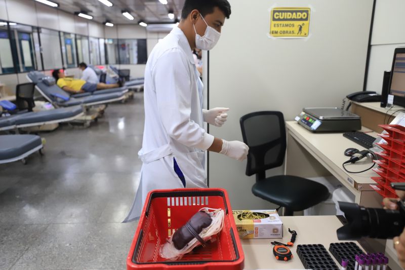  <div class='credito_fotos'>Foto: Bruno Cruz / Ag. Pará &nbsp;&nbsp;|&nbsp;&nbsp; <a href='/midias/2024/originais/18456_5cae7045-d475-9782-ea5b-c9ee0ac0ad04.jpg' download><i class='fa-solid fa-download'></i> Download</a></div>