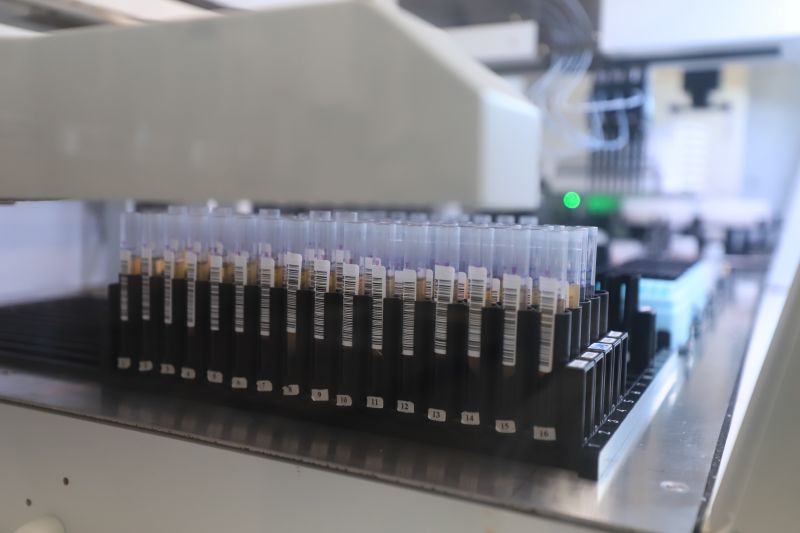  <div class='credito_fotos'>Foto: Bruno Cruz / Ag. Pará &nbsp;&nbsp;|&nbsp;&nbsp; <a href='/midias/2024/originais/18456_5d64bf30-1cd8-2635-5232-eb3526c1e92d.jpg' download><i class='fa-solid fa-download'></i> Download</a></div>