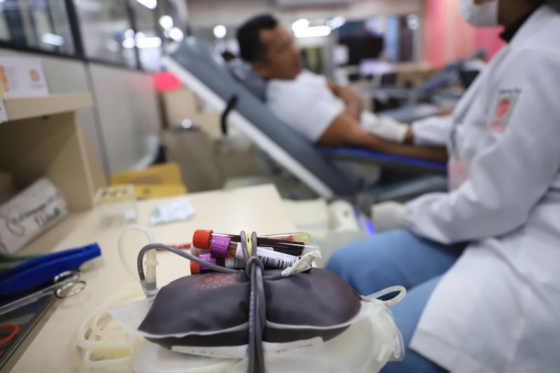  <div class='credito_fotos'>Foto: Bruno Cruz / Ag. Pará &nbsp;&nbsp;|&nbsp;&nbsp; <a href='/midias/2024/originais/18456_606f32aa-41fe-3ccd-15c8-661992915b44.jpg' download><i class='fa-solid fa-download'></i> Download</a></div>