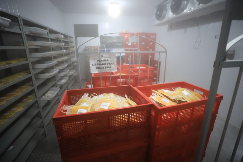  <div class='credito_fotos'>Foto: Bruno Cruz / Ag. Pará &nbsp;&nbsp;|&nbsp;&nbsp; <a href='/midias/2024/originais/18456_6087549b-2548-5c38-2e3e-2016548bf201.jpg' download><i class='fa-solid fa-download'></i> Download</a></div>