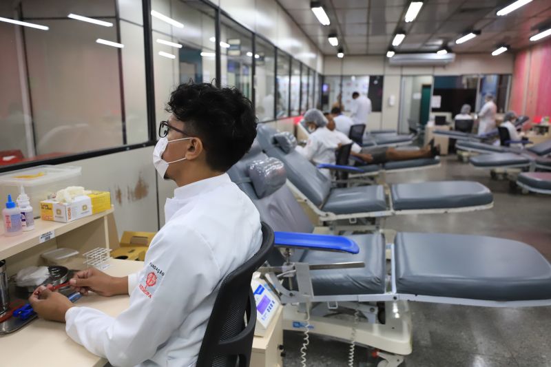  <div class='credito_fotos'>Foto: Bruno Cruz / Ag. Pará &nbsp;&nbsp;|&nbsp;&nbsp; <a href='/midias/2024/originais/18456_6894731a-fb65-0bc3-b835-95a05b986fa0.jpg' download><i class='fa-solid fa-download'></i> Download</a></div>