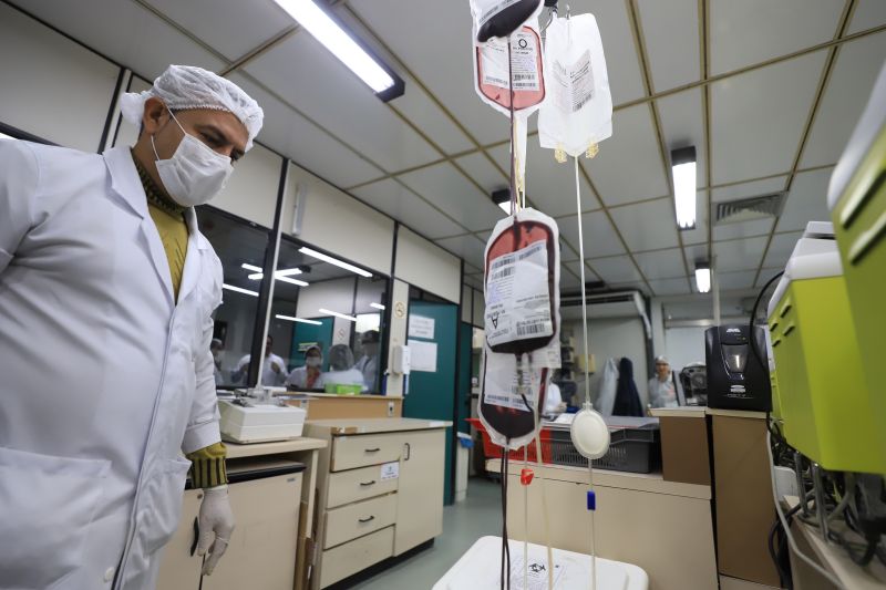  <div class='credito_fotos'>Foto: Bruno Cruz / Ag. Pará &nbsp;&nbsp;|&nbsp;&nbsp; <a href='/midias/2024/originais/18456_69c34b6d-f283-1c41-d0d7-d1e13fde20ab.jpg' download><i class='fa-solid fa-download'></i> Download</a></div>