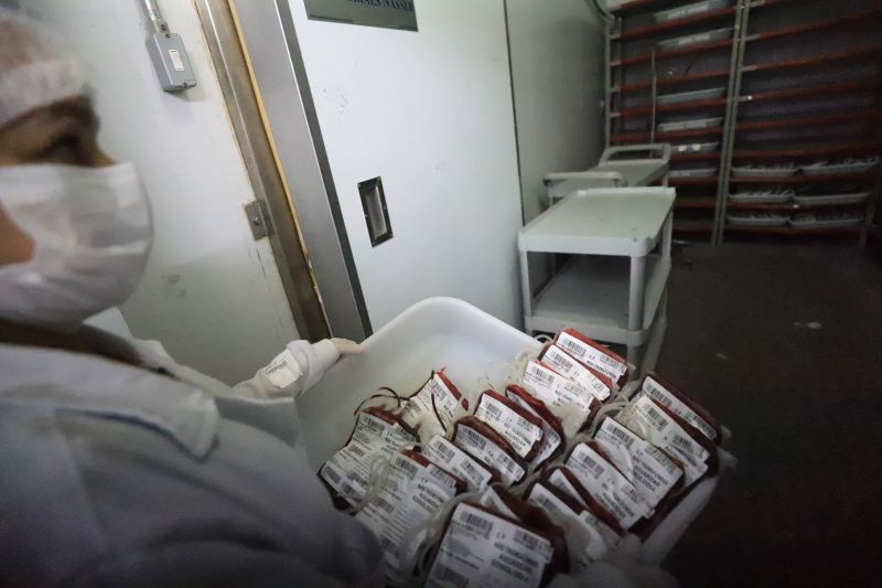  <div class='credito_fotos'>Foto: Bruno Cruz / Ag. Pará &nbsp;&nbsp;|&nbsp;&nbsp; <a href='/midias/2024/originais/18456_6aa51dd8-64f0-f88c-dd01-c8344f59737f.jpg' download><i class='fa-solid fa-download'></i> Download</a></div>