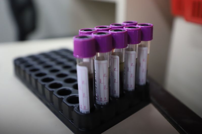  <div class='credito_fotos'>Foto: Bruno Cruz / Ag. Pará &nbsp;&nbsp;|&nbsp;&nbsp; <a href='/midias/2024/originais/18456_6afa0325-af50-99b3-432d-5b96710e61a1.jpg' download><i class='fa-solid fa-download'></i> Download</a></div>