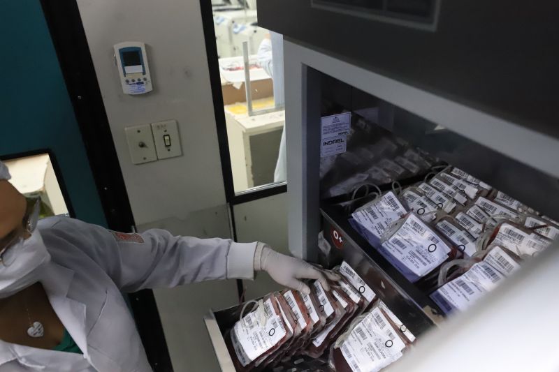  <div class='credito_fotos'>Foto: Bruno Cruz / Ag. Pará &nbsp;&nbsp;|&nbsp;&nbsp; <a href='/midias/2024/originais/18456_70337a64-3742-d666-d873-4dd09aa94e67.jpg' download><i class='fa-solid fa-download'></i> Download</a></div>