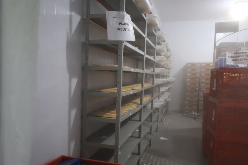  <div class='credito_fotos'>Foto: Bruno Cruz / Ag. Pará &nbsp;&nbsp;|&nbsp;&nbsp; <a href='/midias/2024/originais/18456_70bd77bf-3ed7-5bd9-c834-f7c82a742b3c.jpg' download><i class='fa-solid fa-download'></i> Download</a></div>