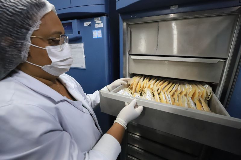  <div class='credito_fotos'>Foto: Bruno Cruz / Ag. Pará &nbsp;&nbsp;|&nbsp;&nbsp; <a href='/midias/2024/originais/18456_78fff6cd-e90f-270b-cae0-0f603e3b2730.jpg' download><i class='fa-solid fa-download'></i> Download</a></div>