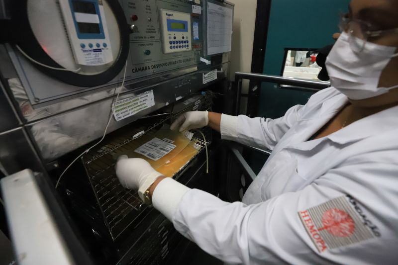  <div class='credito_fotos'>Foto: Bruno Cruz / Ag. Pará &nbsp;&nbsp;|&nbsp;&nbsp; <a href='/midias/2024/originais/18456_795ef356-5e5e-abbb-852b-9cd82ecc00fa.jpg' download><i class='fa-solid fa-download'></i> Download</a></div>